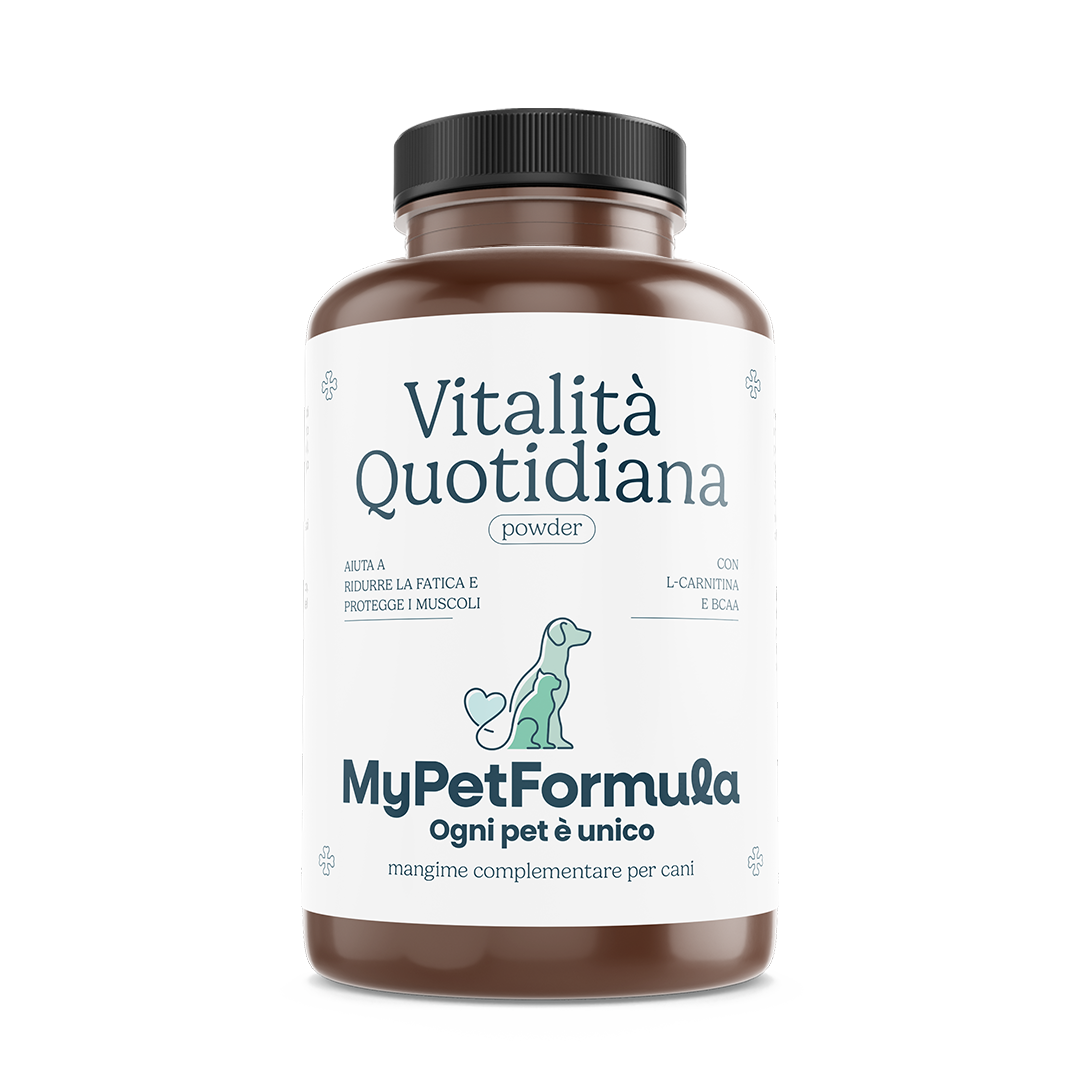 bcaa con l carnitina Vitalità Quotidiana bcaa con l carnitina Vitalità Quotidiana