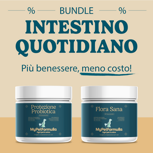 Intestino Quotidiano