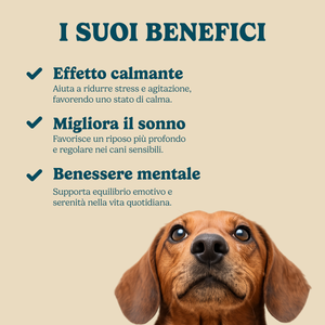Calma e coccole