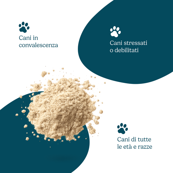 Compositum Vitaminicum