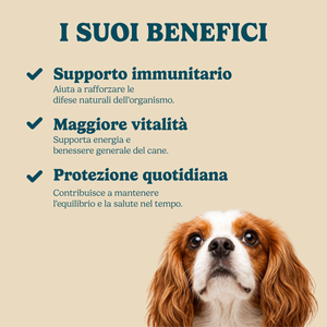 Difese attive