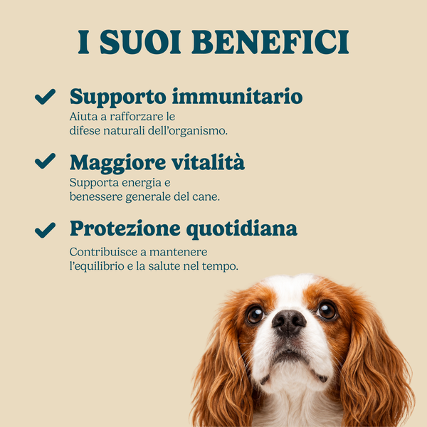 Difese attive