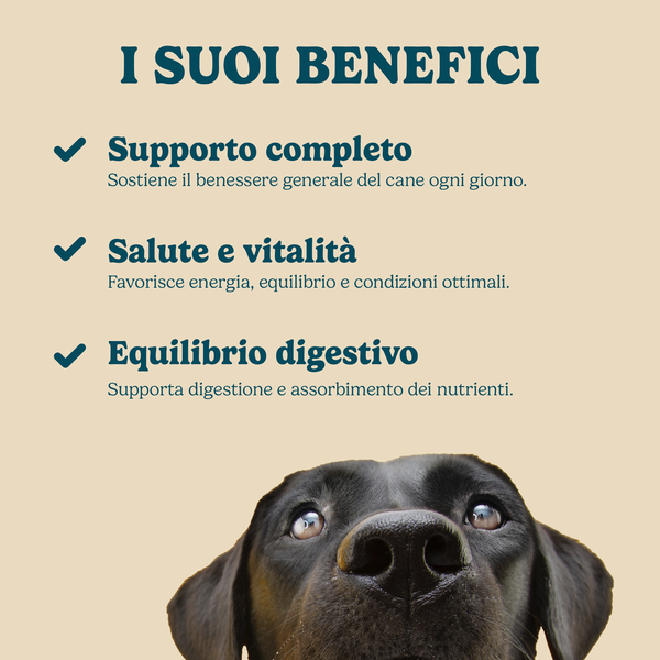 Formula completa