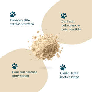 Kelp Powder