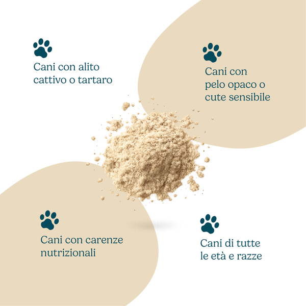Kelp Powder