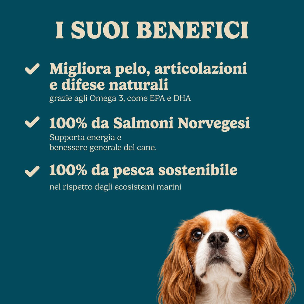 Olio di salmone Norvegese