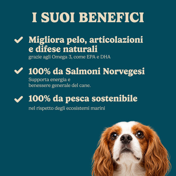 Olio di salmone Norvegese