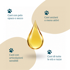 Olio di salmone