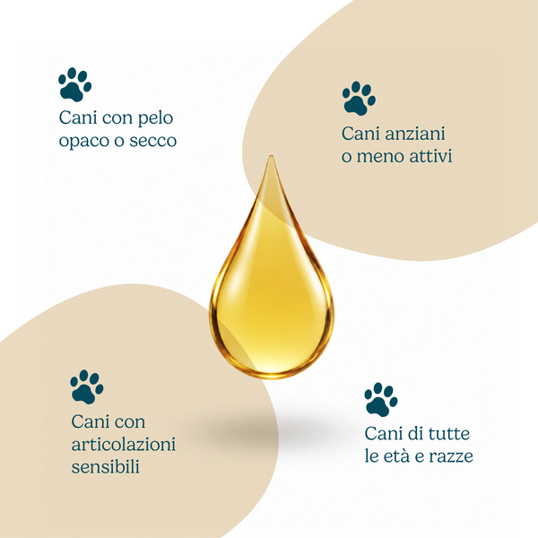 Olio di salmone