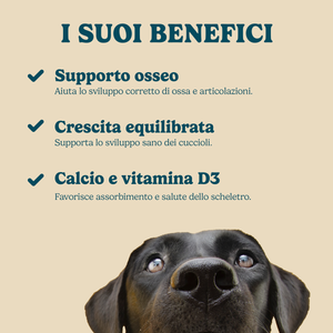 Puppy Support