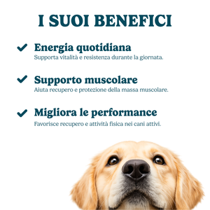 Vitalità Quotidiana