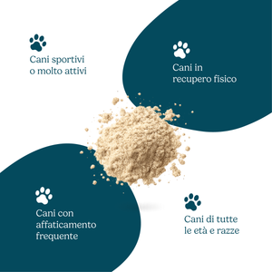 Vitalità Quotidiana
