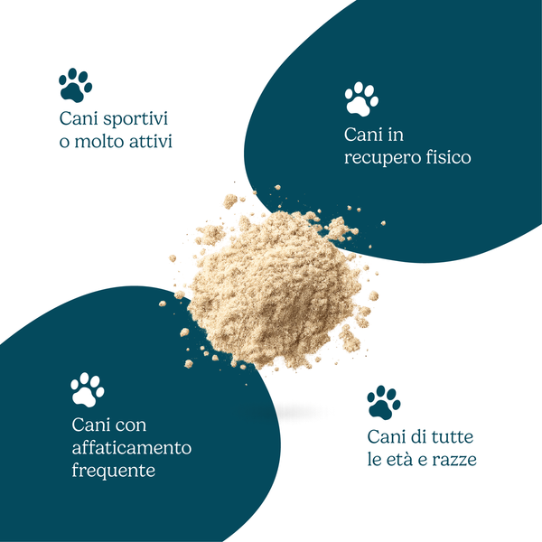 Vitalità Quotidiana